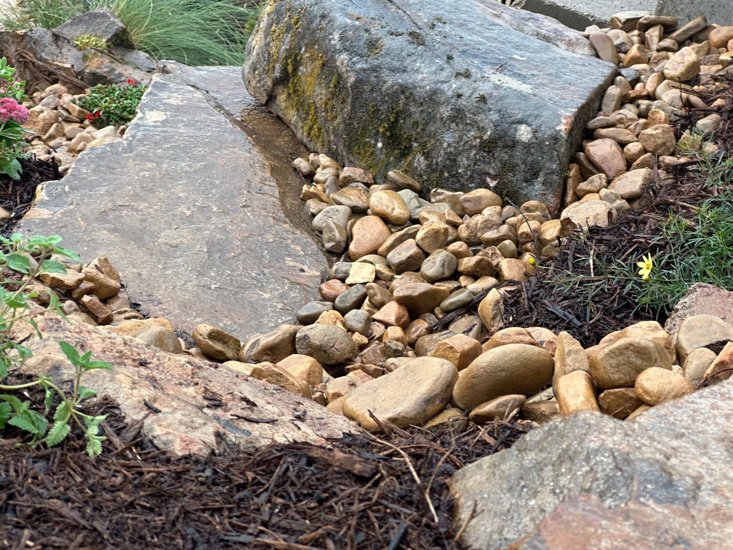 Rocky garden landscape with large stones, pebbles, and greenery. Small yellow flowers add a pop of color to the earthy scene.