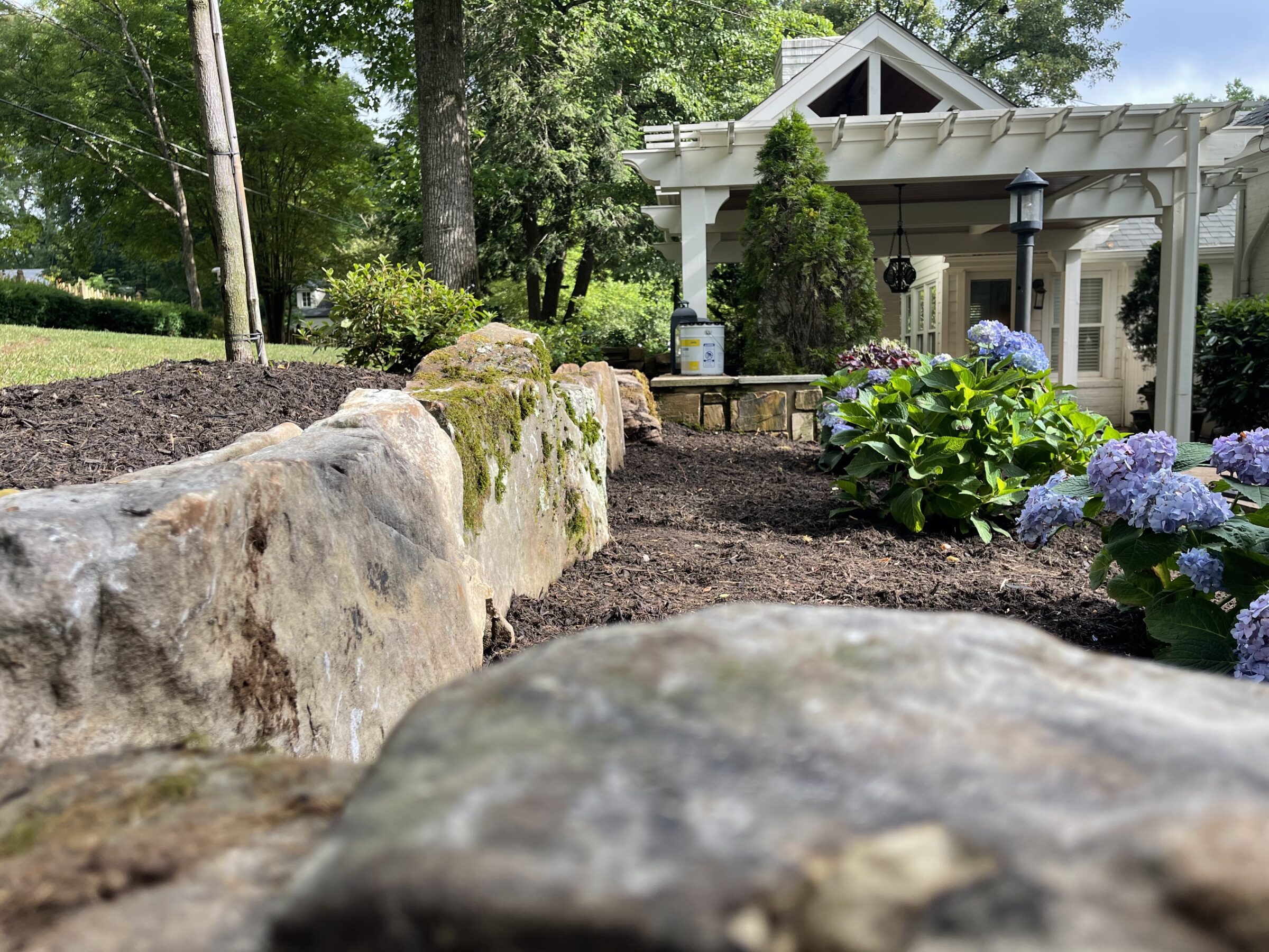 A peaceful garden scene with a stone path, blossoming hydrangeas, and a white pergola-covered entrance surrounded by lush greenery and trees.