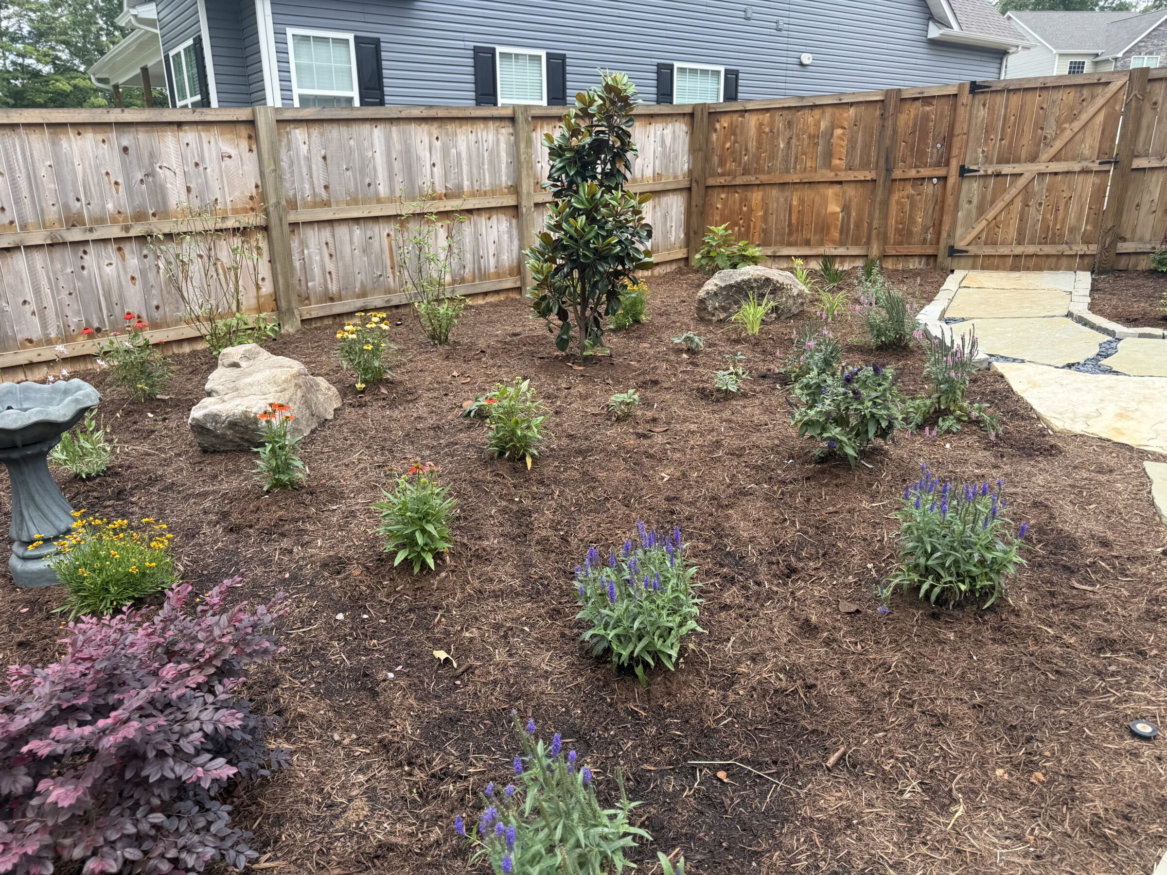 A backyard garden with blooming flowers, a birdbath, and a rock arrangement, enclosed by a wooden fence near a house exterior.