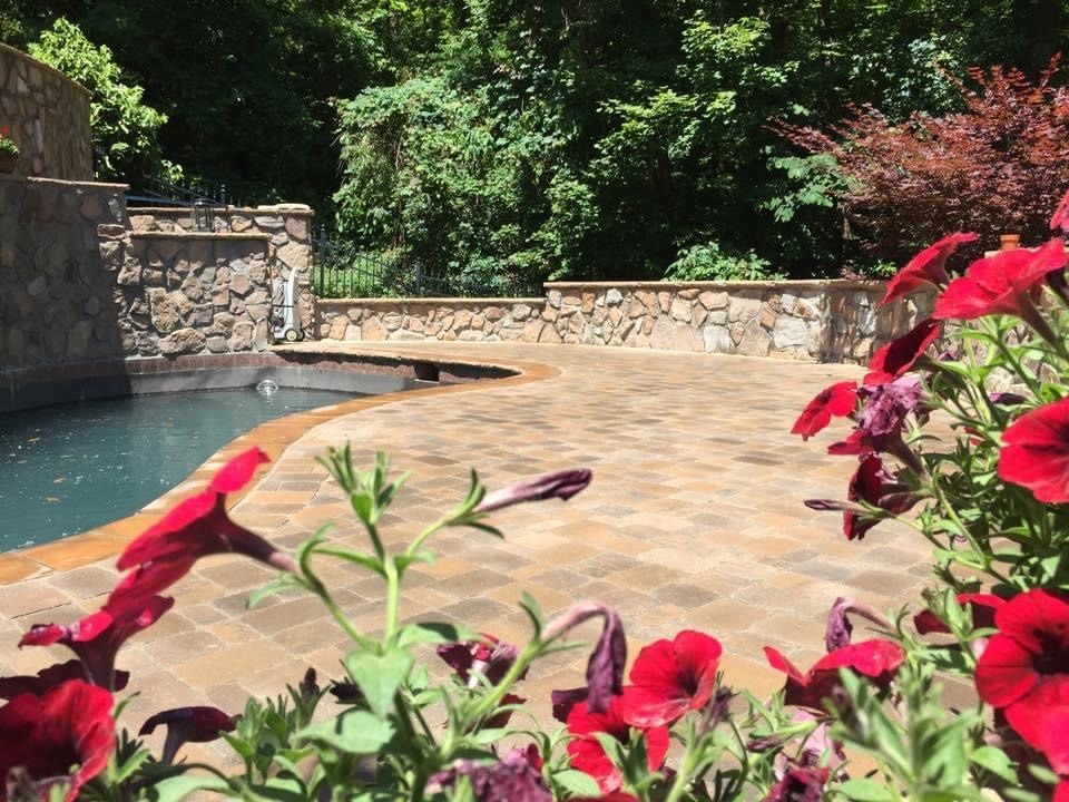 Colorful flowers frame a serene stone patio and small pool, surrounded by lush green trees under bright sunlight. Peaceful and inviting atmosphere.