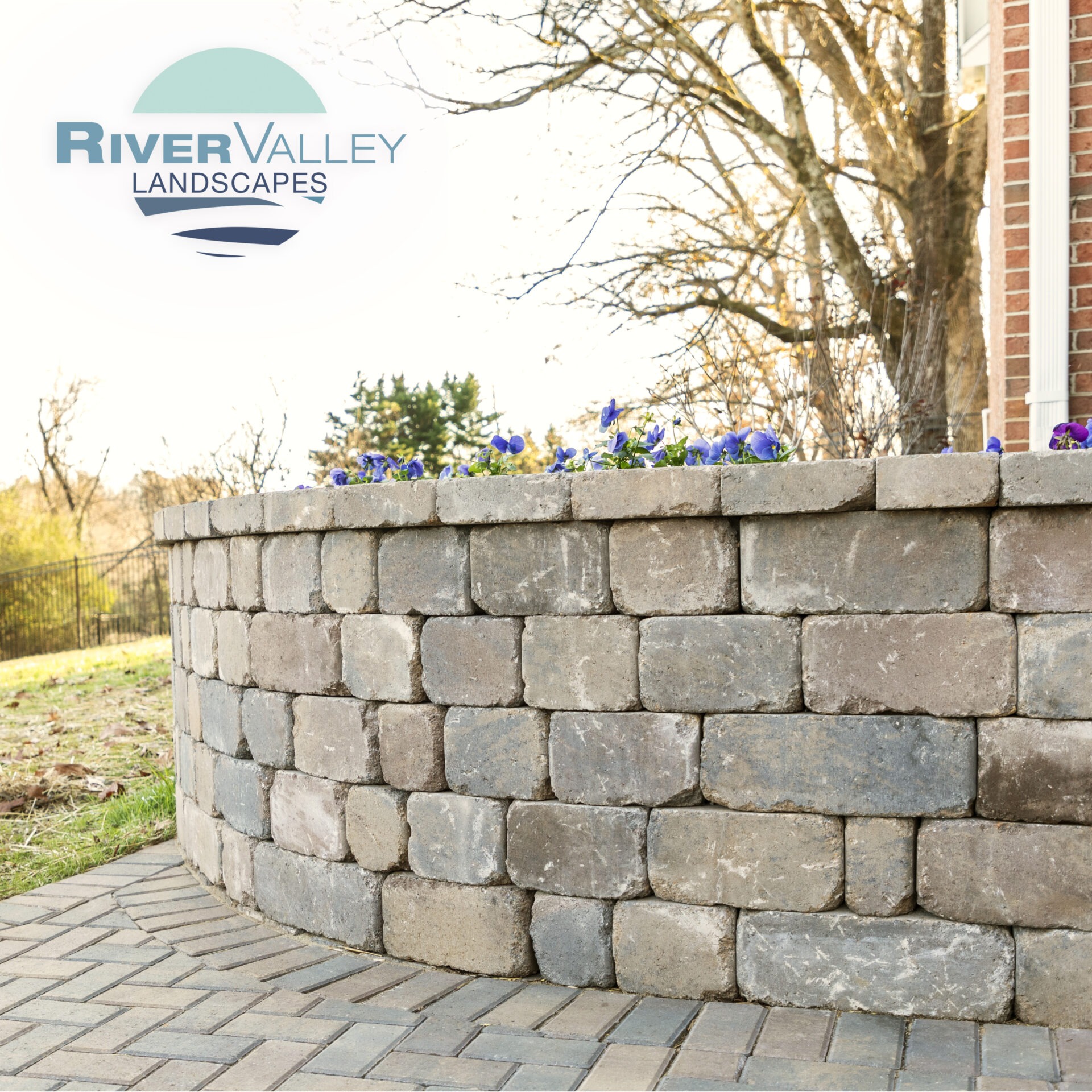 A curved stone retaining wall topped with purple flowers, located near a grassy area and a leafless tree, under clear sky.