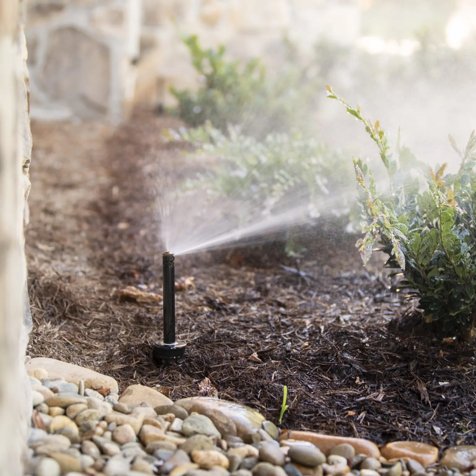 A sprinkler waters a garden bed, bordered by rocks and plants, near a stone wall on a sunny day. No people visible.