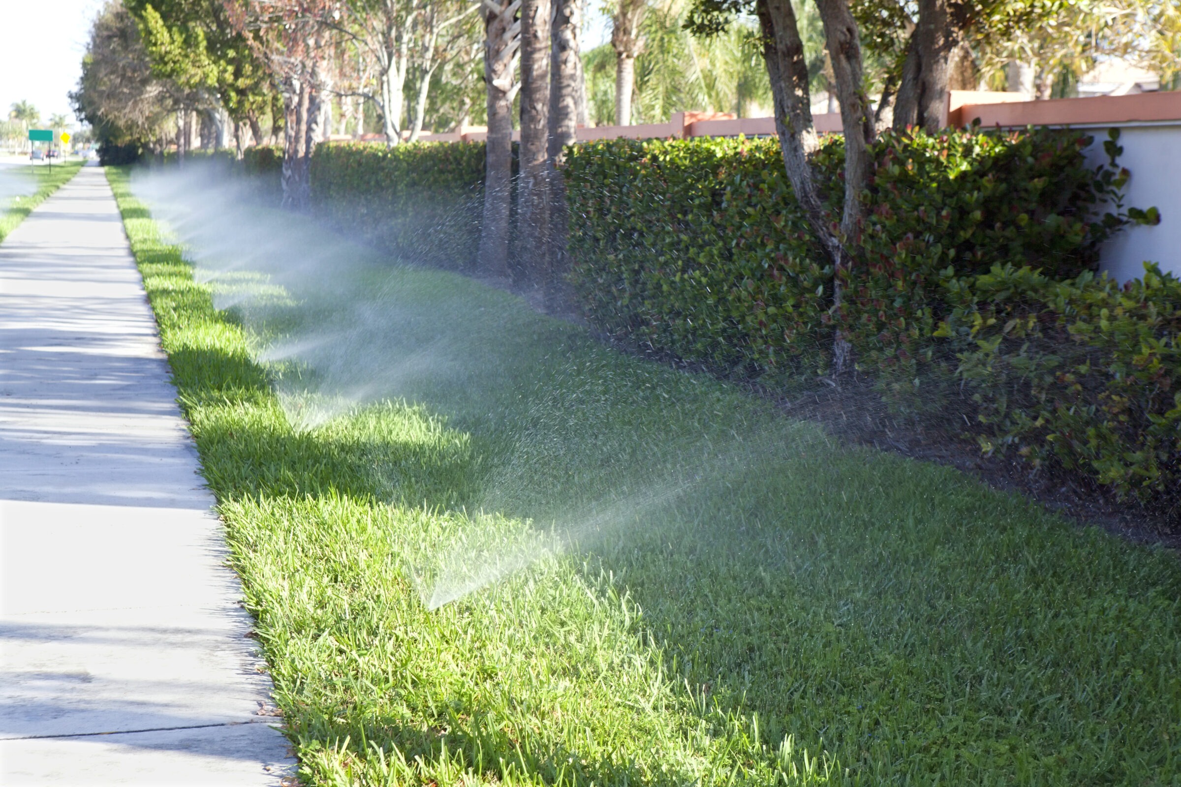 A sidewalk lined with grass and trees, where sprinklers are watering the lawn beside a row of hedges under clear skies.