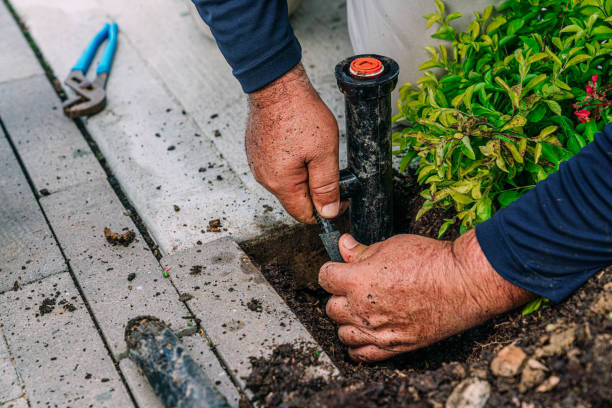 A person installs a sprinkler system in a garden, adjusting a black sprinkler head near green plants. Tools and dirt are nearby.